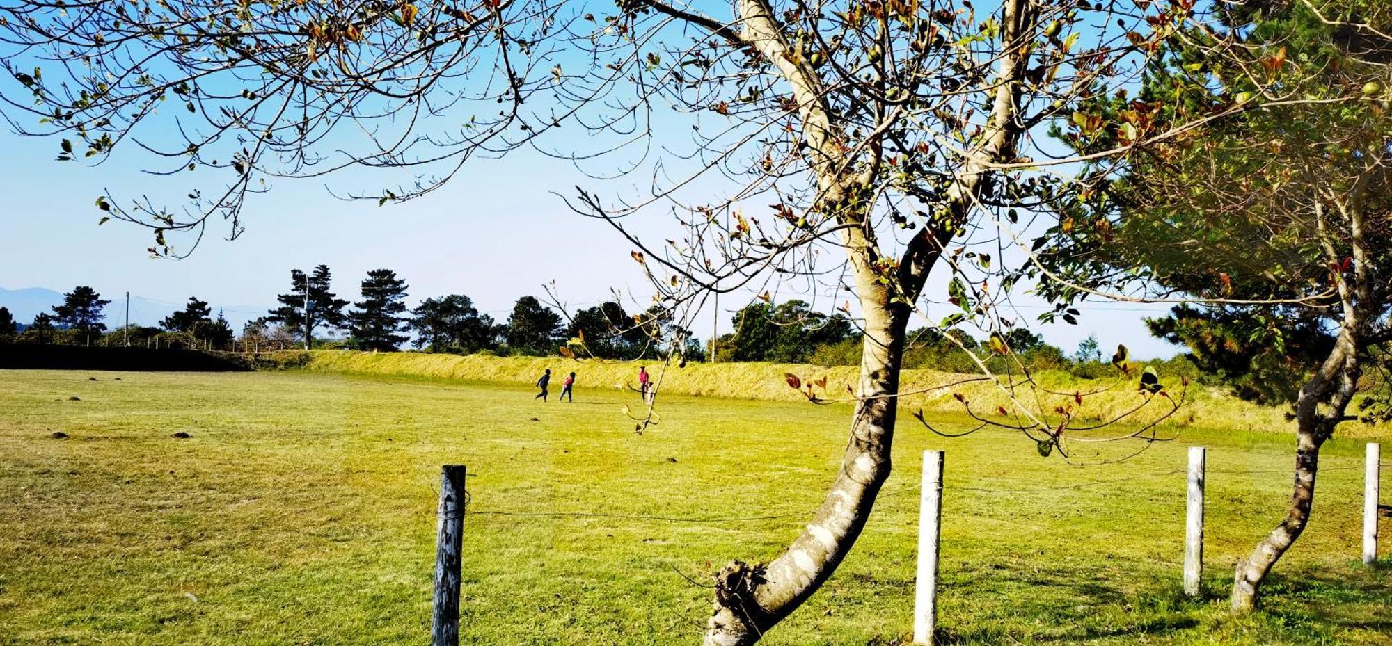 Moonsong Accommodation & Camping Plettenberg Bay Zewnętrze zdjęcie