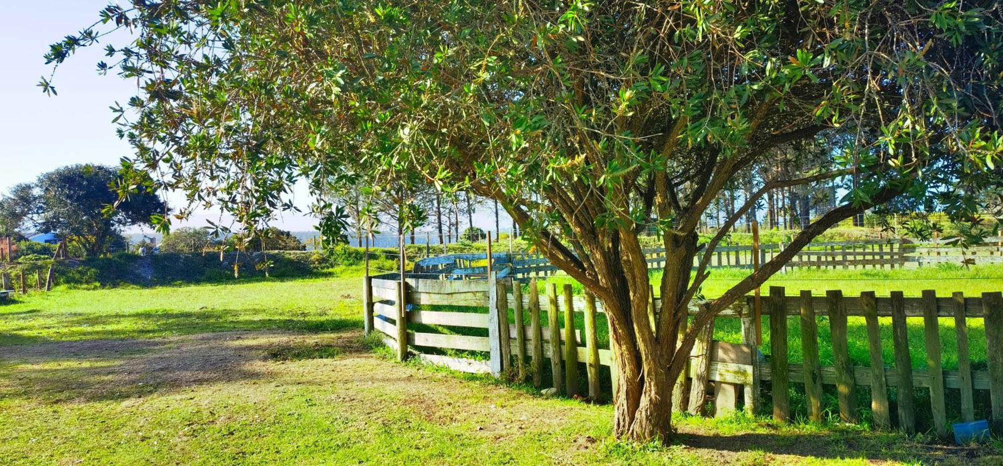 Moonsong Accommodation & Camping Plettenberg Bay Zewnętrze zdjęcie
