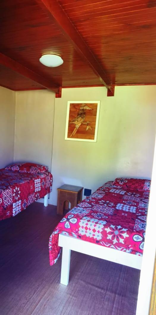 Moonsong Accommodation & Camping Plettenberg Bay Zewnętrze zdjęcie